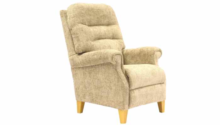 Electric Recliner Petite