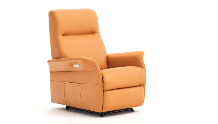 Lift and Rise Recliner Chair