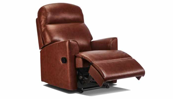 Small Rechargeable Powered Recliner