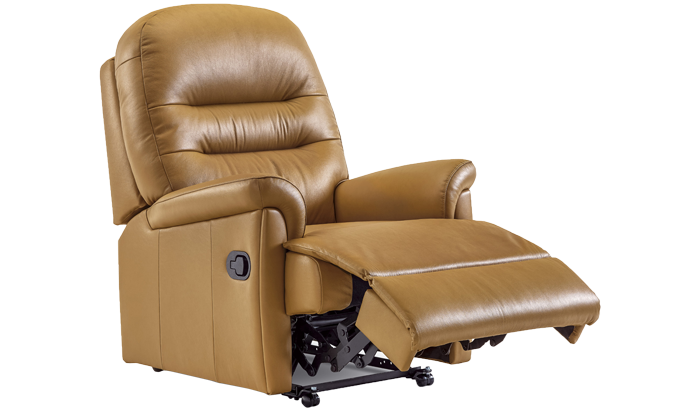 Petite Power Recliner